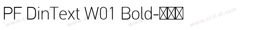 PF DinText W01 Bold字体转换